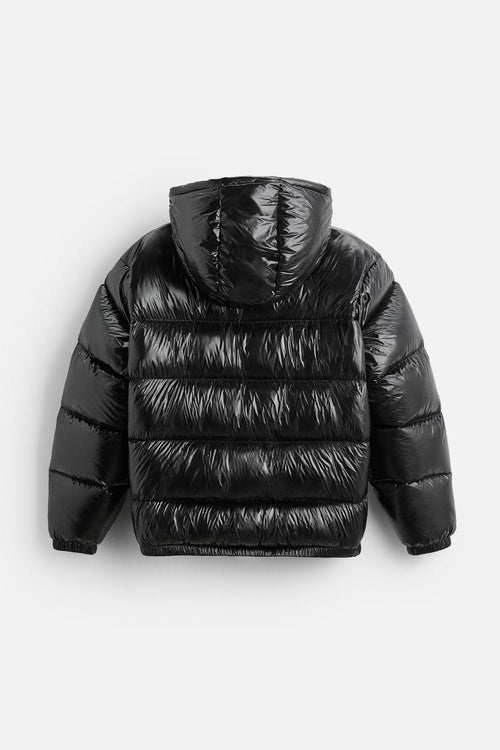 Aducé Shiny Puffer