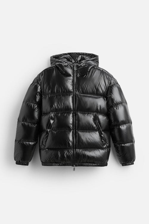 Aducé Shiny Puffer