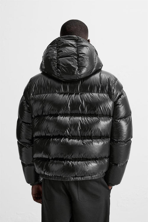 Aducé Shiny Puffer