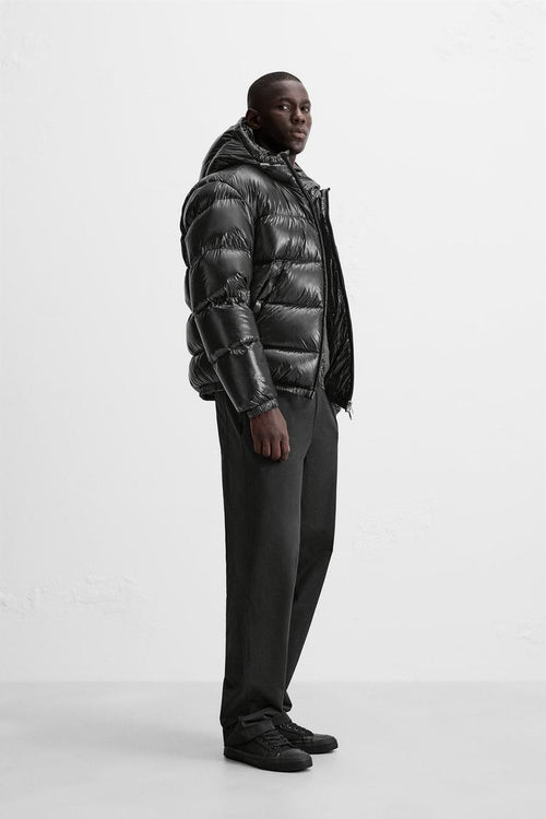 Aducé Shiny Puffer