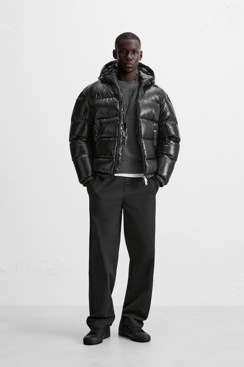 Aducé Shiny Puffer