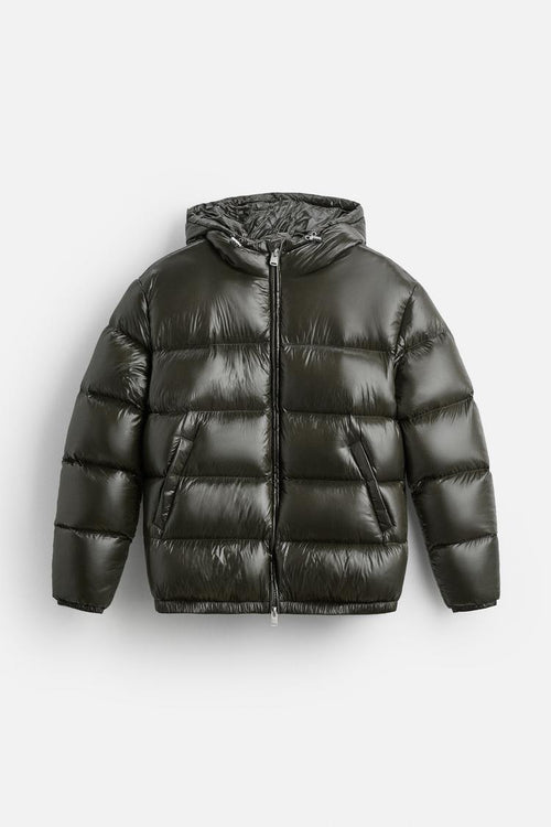 Aducé Shiny Puffer